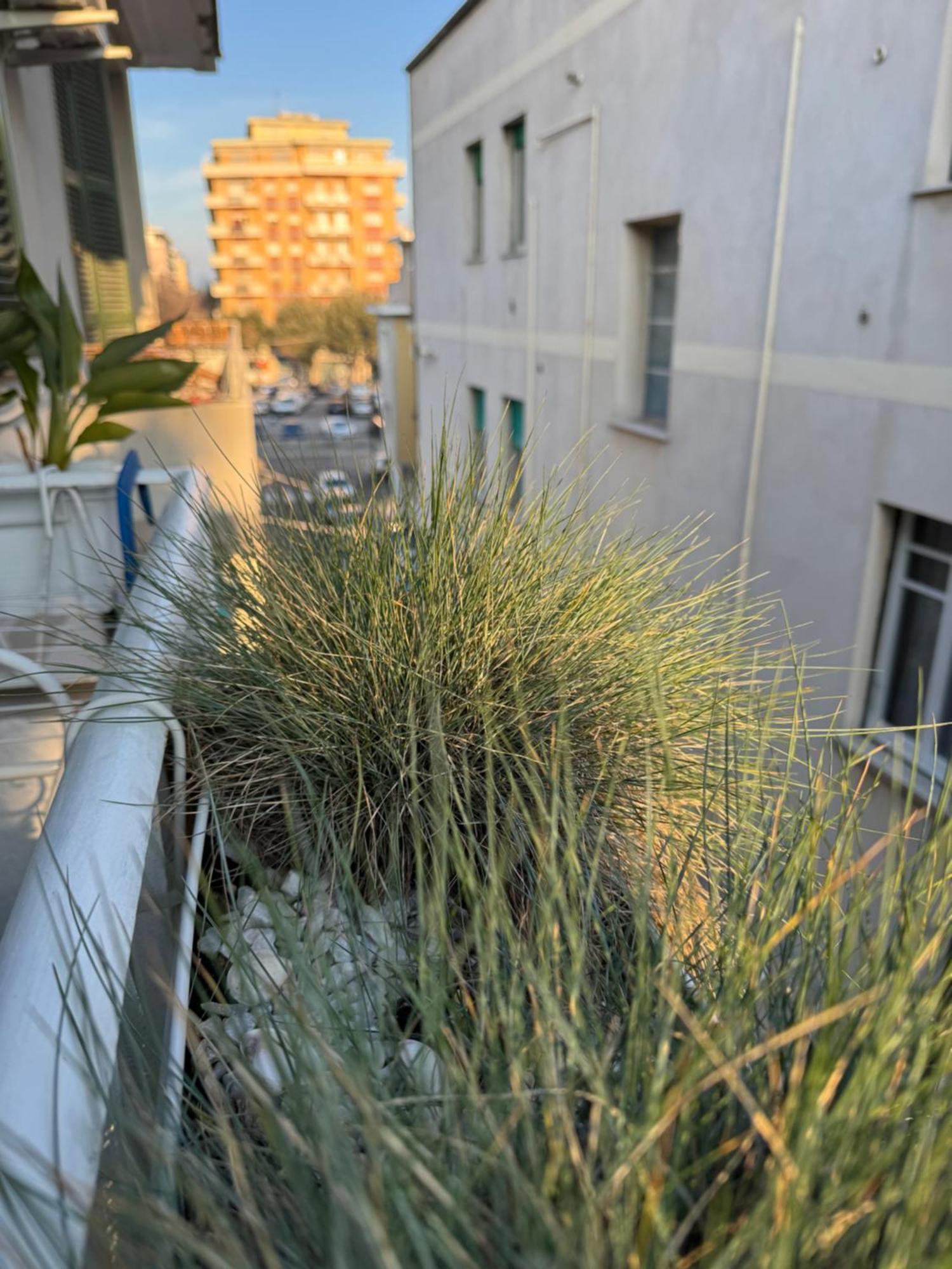 Okra Apartment Pescara Centro Esterno foto